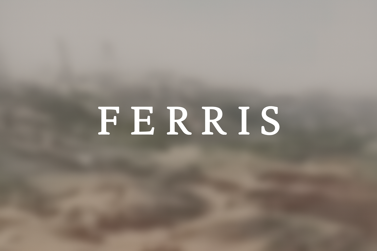 Ferris Project Image
